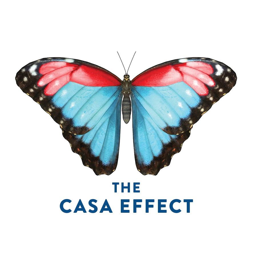 The CASA Effect Butterfly Sticker 1